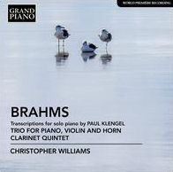 Brahms: Transcriptions for solo piano by Paul Klengel; Trio for Piano, Violin and Horn; Clarinet Quintet