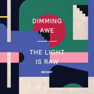 Title: Dimming Awe, the Light Is Raw, Artist: Botany