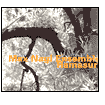 Ramasuri