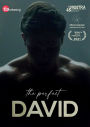 The Perfect David