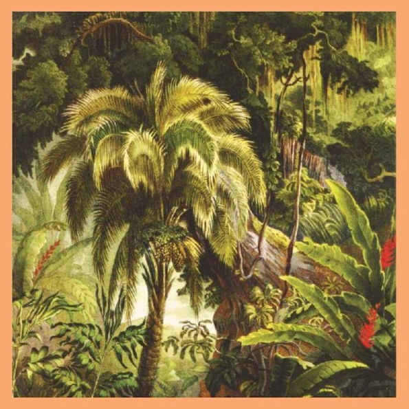 La Forêt