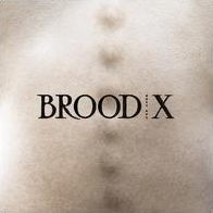 Brood X