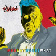 Title: Who Why Where What, Artist: pMad
