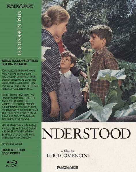 Misunderstood [Blu-ray]