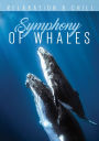 Relaxation & Chill: Symphony of Whales