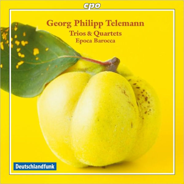 Georg Philipp Telemann: Trios & Quartets