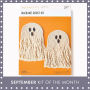 Macrame Ghosts Kit