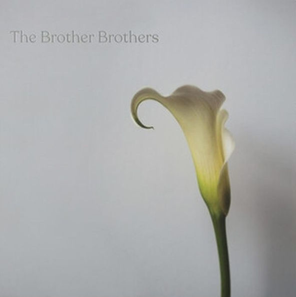 Calla Lily