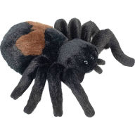 Title: Sneakie Spider Soft