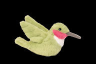 Title: Nectar Hummingbird