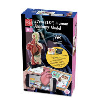 Title: 10'' Human Anatomy Model (AR verison)