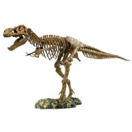 Title: Tyrannosaurus Rex Skeleton