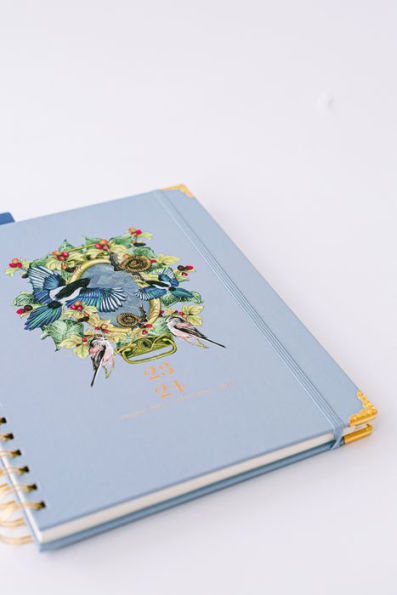 Birds Of Prey Eagle Hawk Falcon Owl Vulture: Notebook Planner - 6x9 inch  Daily Planner Journal, To Do List Notebook, Daily Organizer, 114 Pages :  KRANTZ, JAKE: : Books