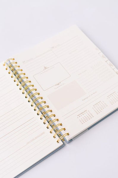 Fancy Bags Agenda Notes – The Fabulous Planner