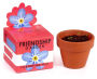 Forget-Me-Not Mini Garden Kit