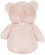 Alternative view 5 of Gund MyFirstFriendTeddy Pink