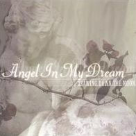 Angel in My Dream