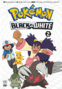 Pokemon Black & White 2