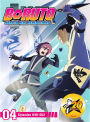 Boruto: Naruto Next Generations - Set 4 [2 Discs]