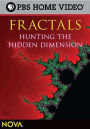NOVA - Fractals - Hunting the Hidden Dimension