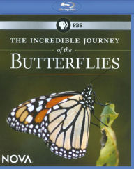 Title: NOVA: The Incredible Journey of the Butterflies [Blu-ray]