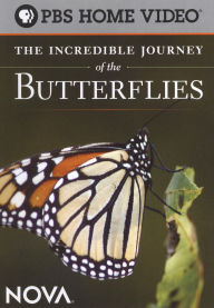 Title: NOVA: The Incredible Journey of the Butterflies