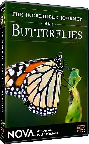 NOVA: The Incredible Journey of the Butterflies