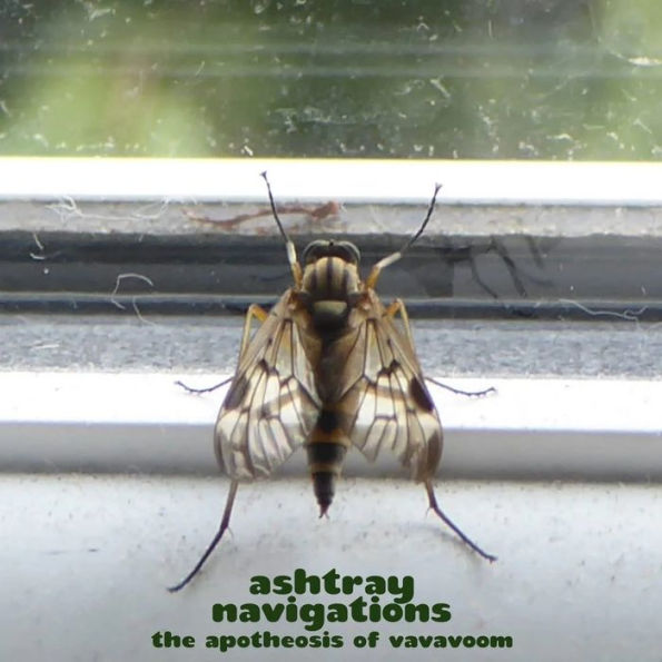 Apotheosis of Vavavoom