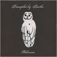 Title: Palomino, Artist: Trampled by Turtles