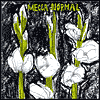 Title: Mecca Normal (1st Album), Artist: Mecca Normal