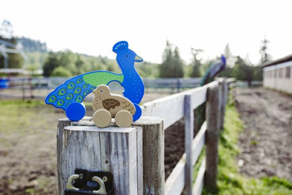Big & Little Peacock Wooden Roller Toys