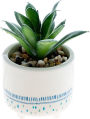 Alternative view 2 of Dog Character Succulent Pot