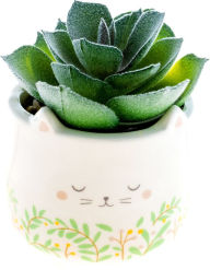 Title: Cat Character Succulent Pot