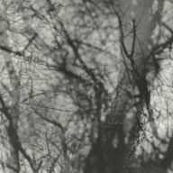 Title: Way Their Crept, Artist: Grouper