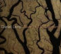 Daniel Lentz: River of 1,000 Streams