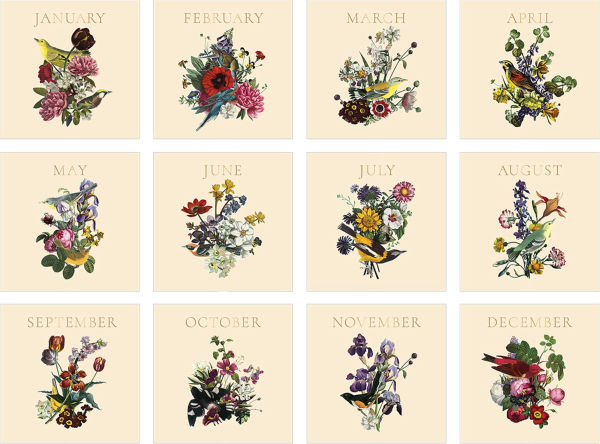 2026 Birds & Blooms Wall Calendar - Exclusive