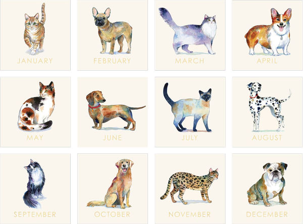 2026 Watercolor Pets Wall Calendar - Exclusive