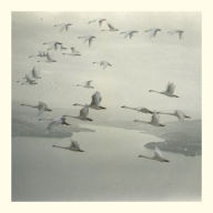 Title: And the World Was Gone, Artist: Snow Ghosts