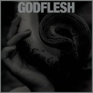 Title: Purge, Artist: Godflesh