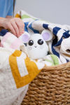 Alternative view 3 of Where's Squeaky? The active, interactive Hide and Seek game.