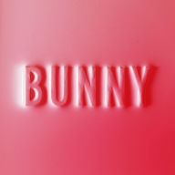 Title: Bunny, Artist: Matthew Dear