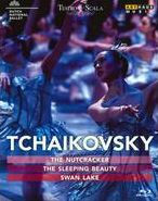 Title: The Tchaikovsky Ballet Classics [Video]