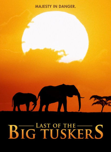 Last of the Big Tuskers