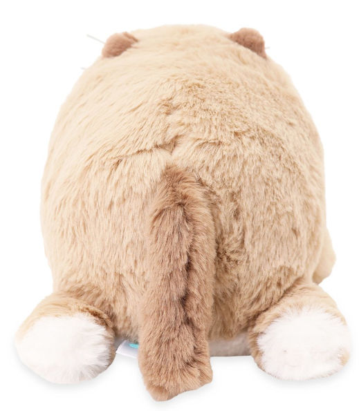 Ragdoll Pandaroll Plush Outfitz