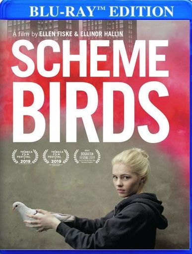 Scheme Birds [Blu-ray]