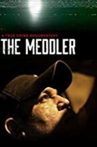 The Meddler