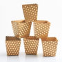 Kraft Treat Box with Gold Foil Polka Dots S/6