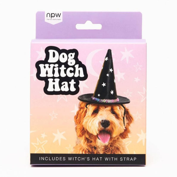 Halloween Dog Witch Hat