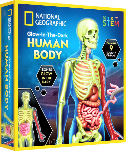 National Geographic Glow-In-The-Dark Human Body