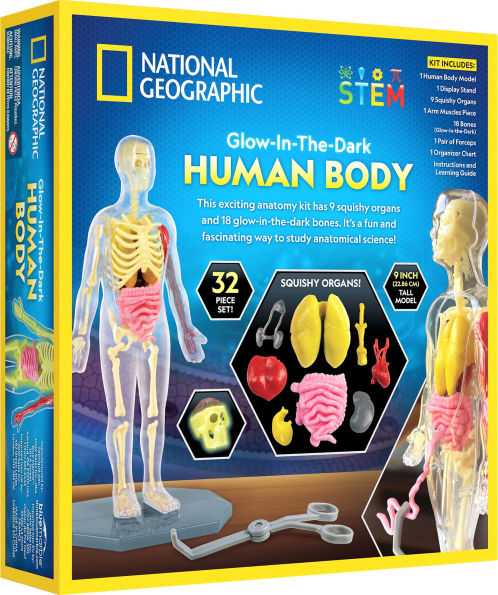 National Geographic Glow-In-The-Dark Human Body